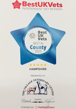 Best reviewed vets shop near me