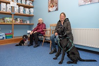 Our Waiting Room